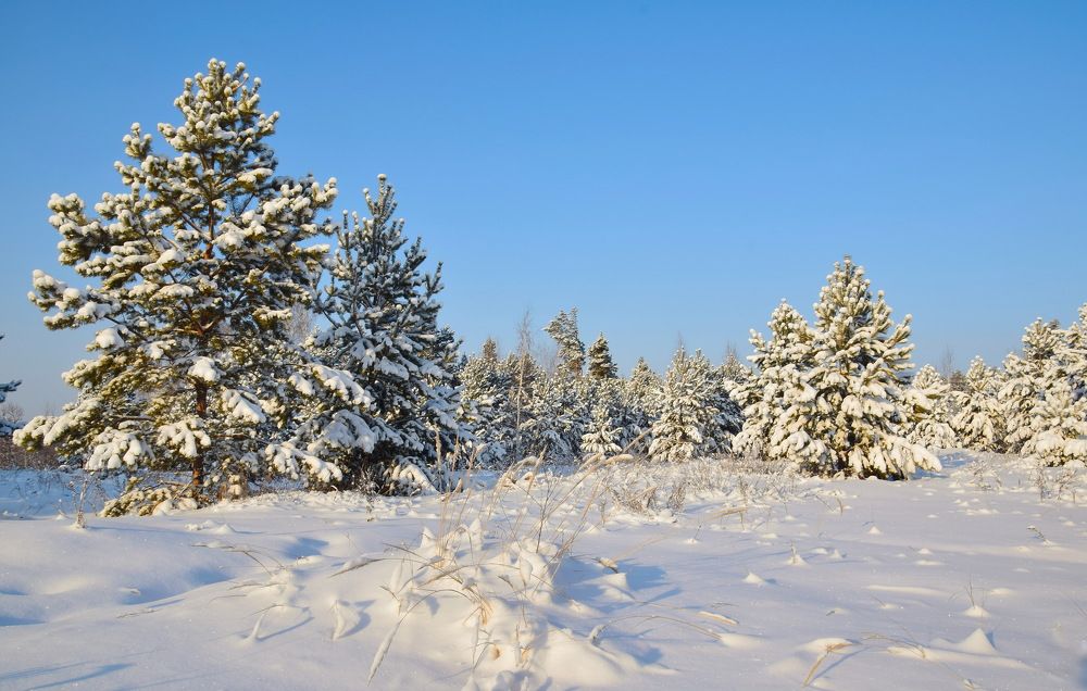 Photograph by Василий Быстрицкий