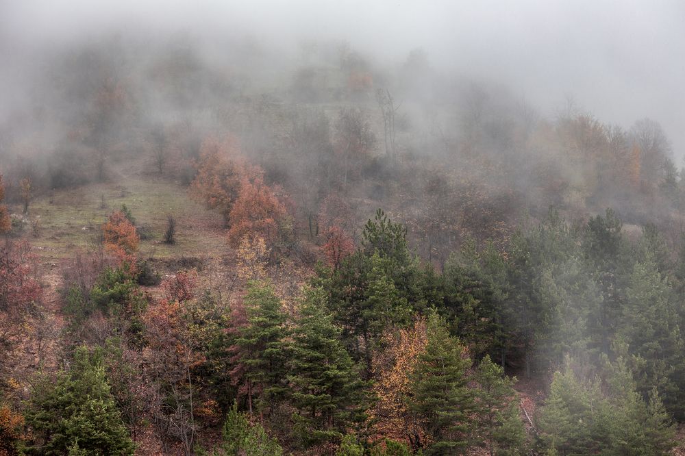 Photograph by Tihomir Stoykov