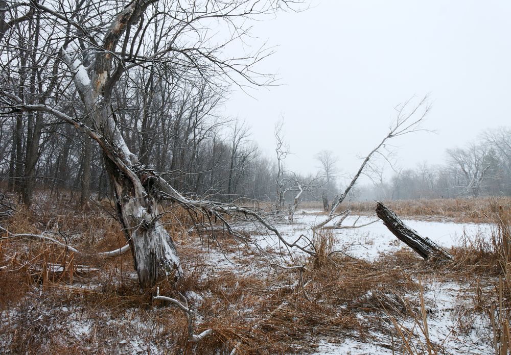 Photograph by Андрей Ларионов