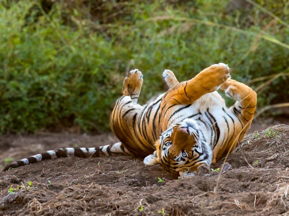 Photograph by Aniket Karane