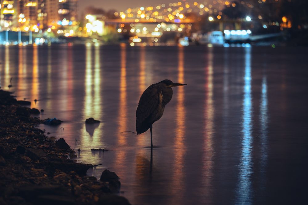 Photograph by Krisztián Nagy