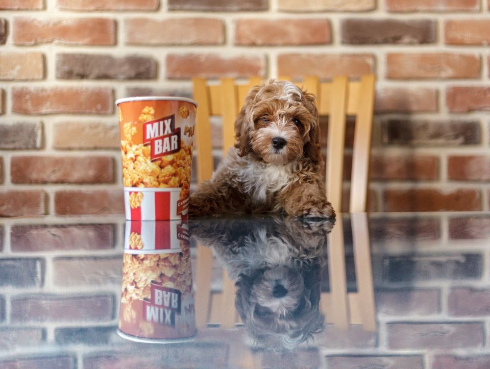 Photograph by Татьяна Степанова