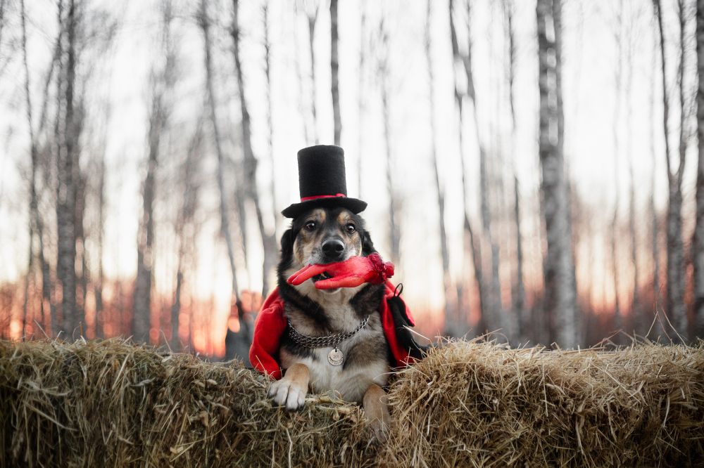 Photograph by Татьяна Степанова