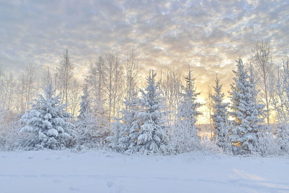 Морозный рассвет декабря.