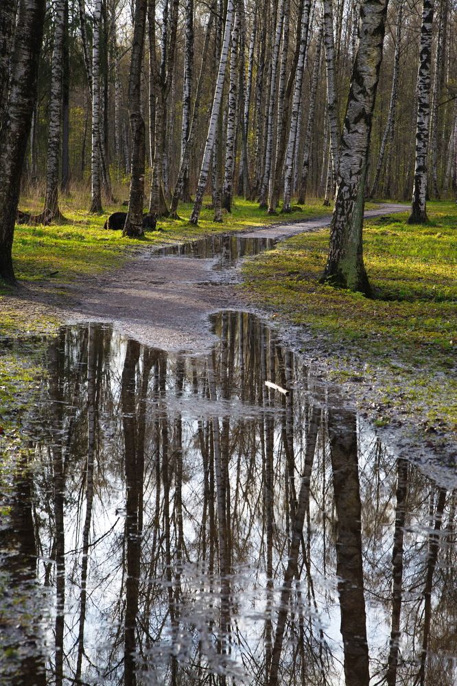 Зеркало Удельного...!)