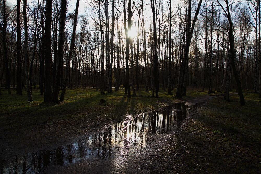Вечер в Удельном...СПб...!)