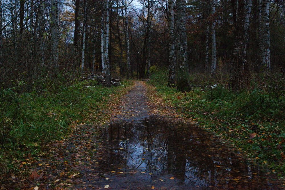 "Гляжусь в тебя, как в Зеркало..." Удельный СПб...!)