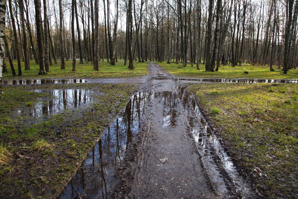 Зеркальный перекрёсток ...Удельный ...СПб...!)