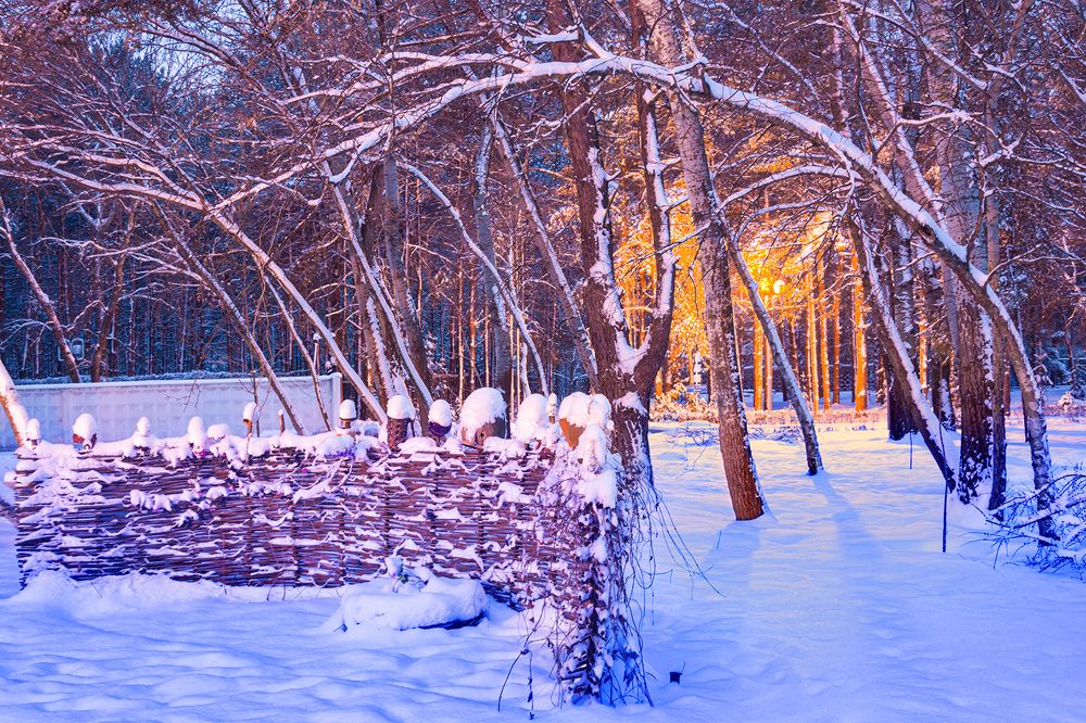 Photograph by Ольга Усова