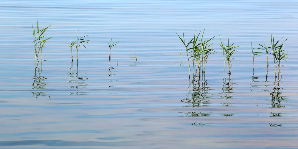 Photograph by Галина Полищук