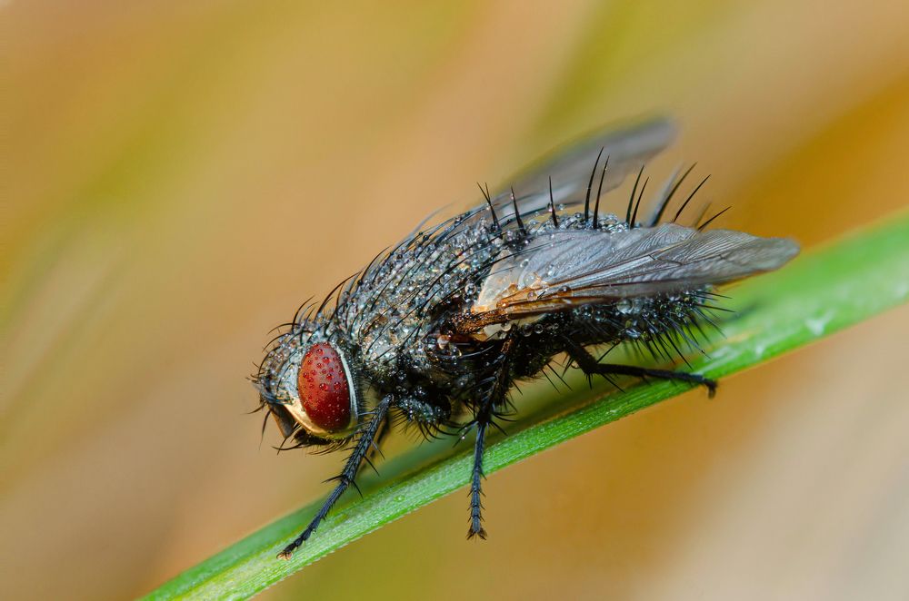 Photograph by Андрей Лысаченко