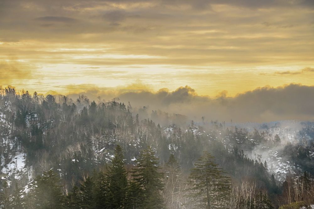 Photograph by Dem Kerrigan