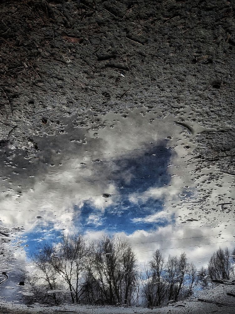 Фотография автора Ольга Игуменова