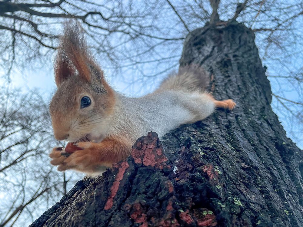 Photograph by Гурский Денис