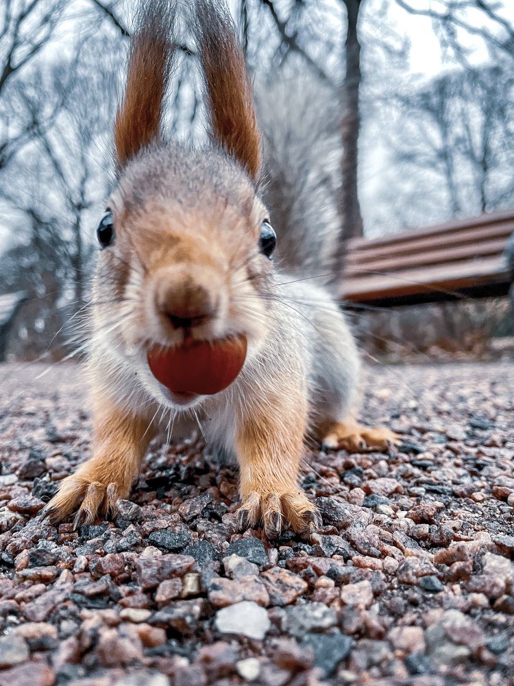 Photograph by Гурский Денис