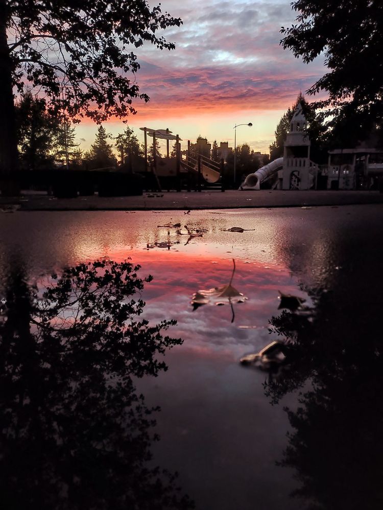 Photograph by Elvira Maksimova