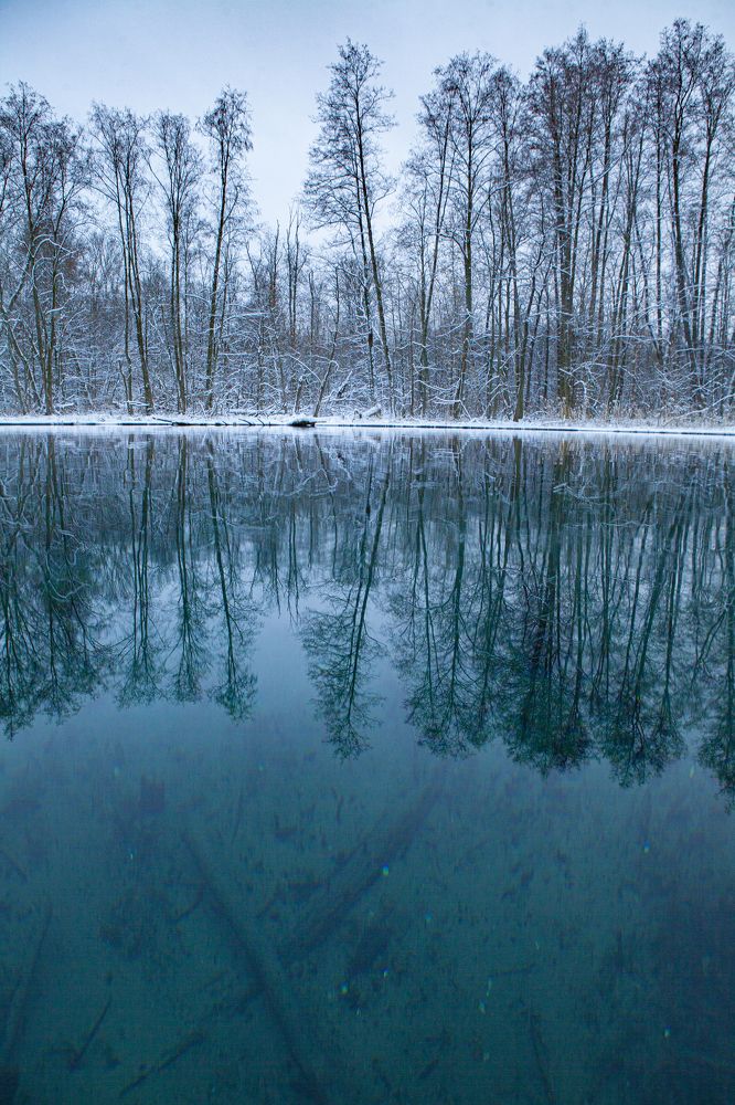 Photograph by Elvira Maksimova