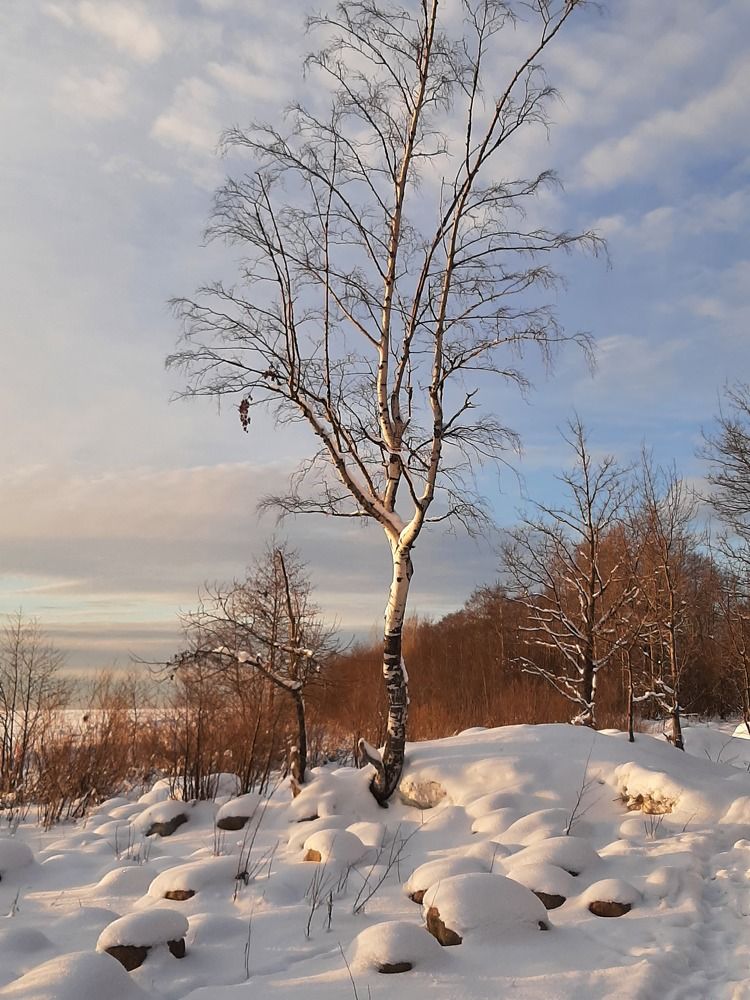 Photograph by Olga Smirnova