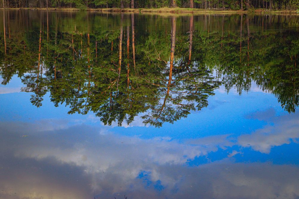 Photograph by Михаил