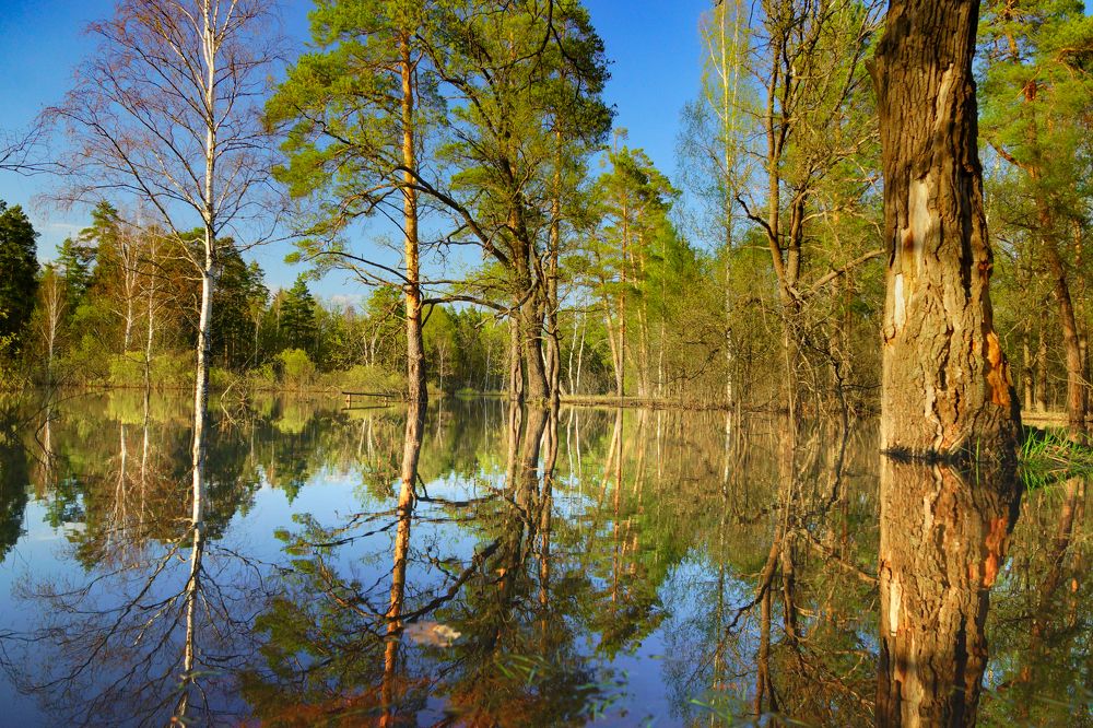 Photograph by Михаил