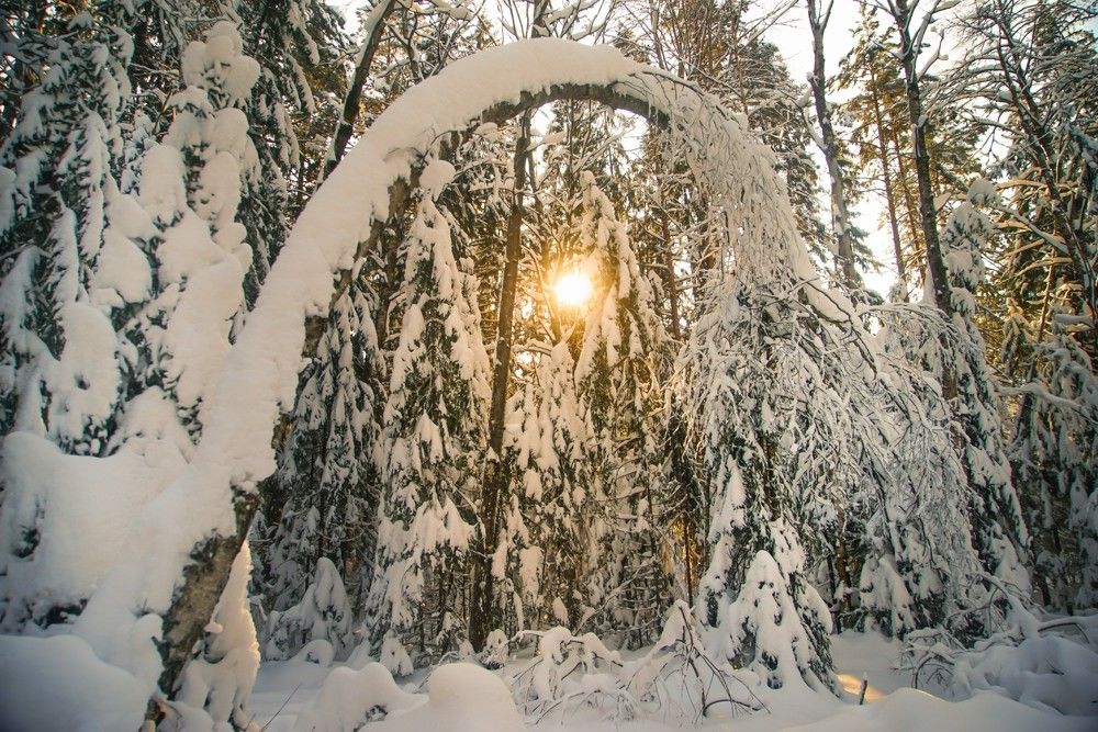 Photograph by Михаил