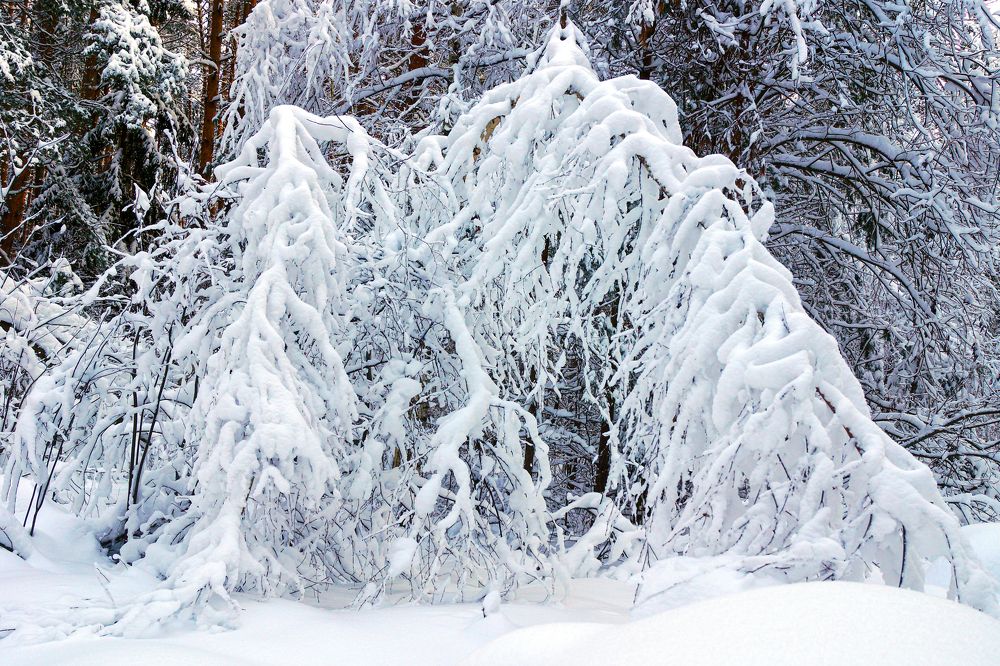 Photograph by Михаил