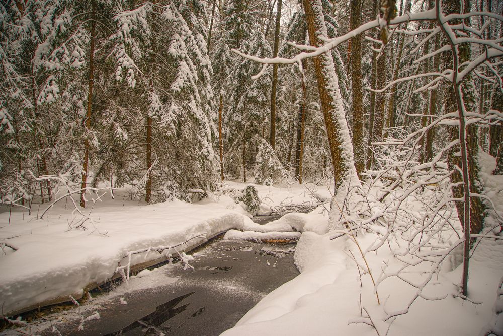 Photograph by Михаил