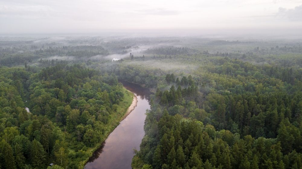 Фотография автора Дмитрий Храмцов