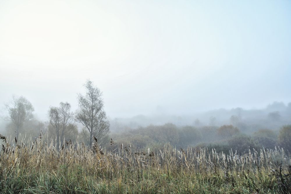 Photograph by Максим