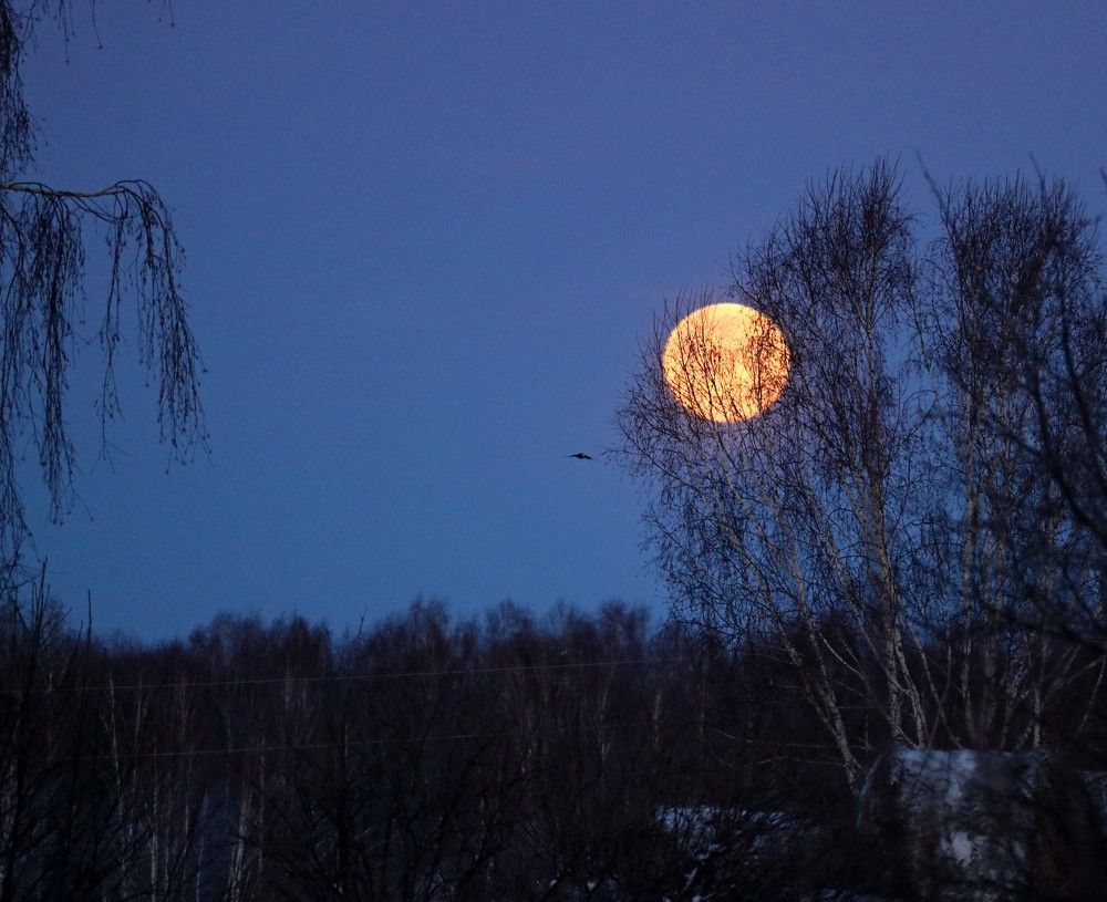 Photograph by Галина Мазур