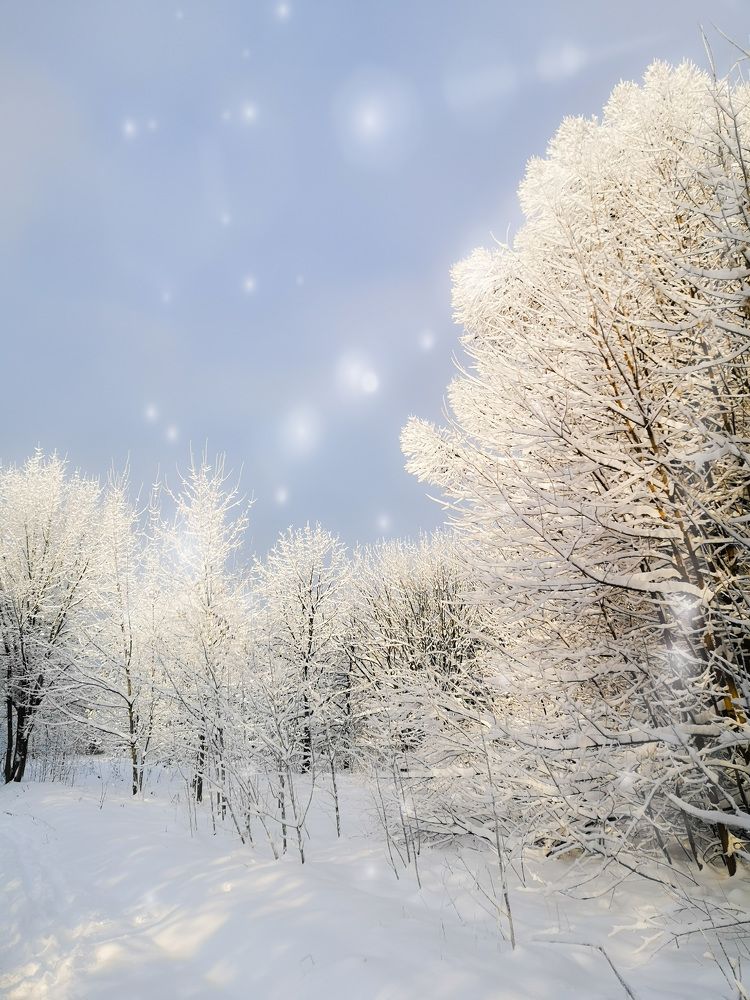 Photograph by Татьяна Чернышова