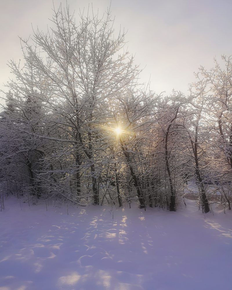 Photograph by Татьяна Чернышова