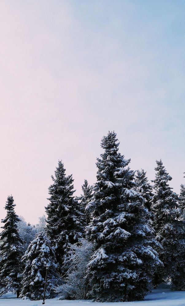 Photograph by Татьяна Чернышова