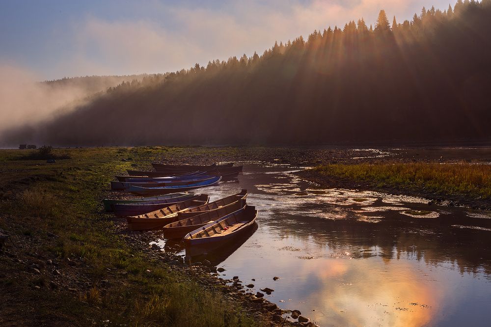 Photograph by Sokolova Tatiana