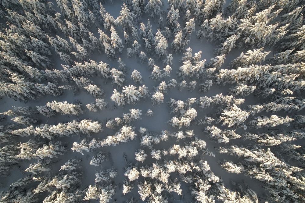 Фотография автора Елена Колосова