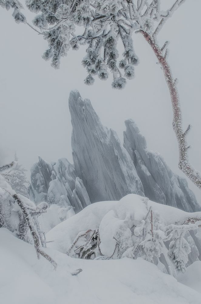 Photograph by Максим Колосов