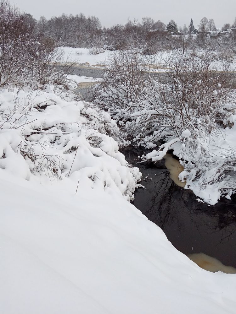 Photograph by Любовь Шаврина