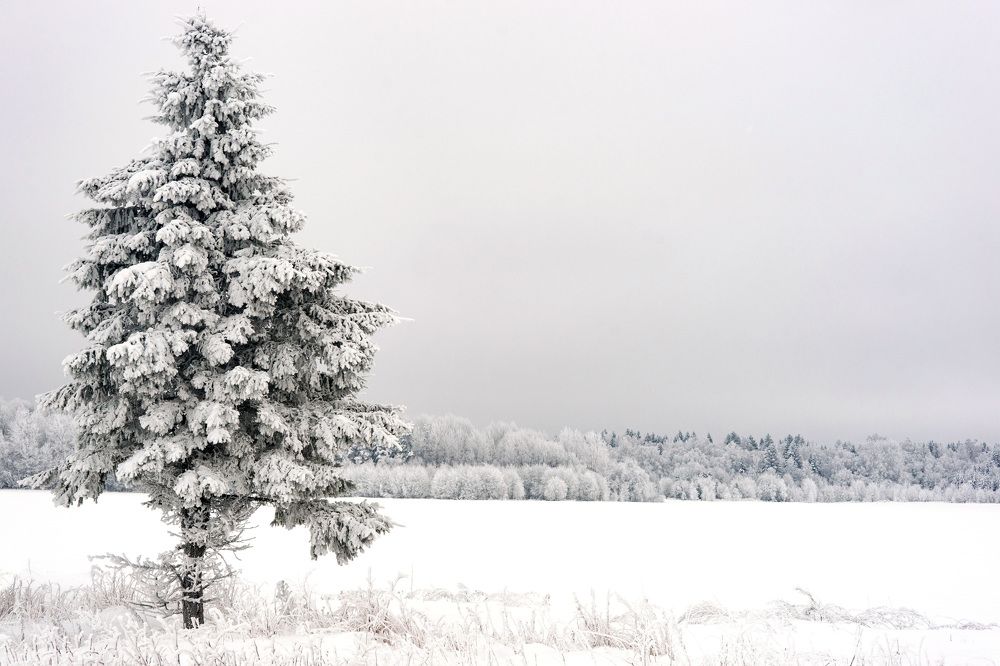 Photograph by Владимир Кириллов