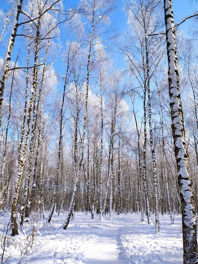 Photograph by Ирина Половцева
