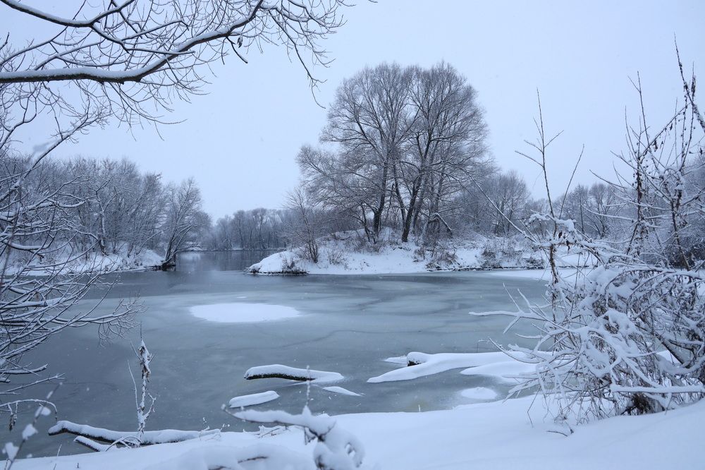 Фотография автора Елена Колосова