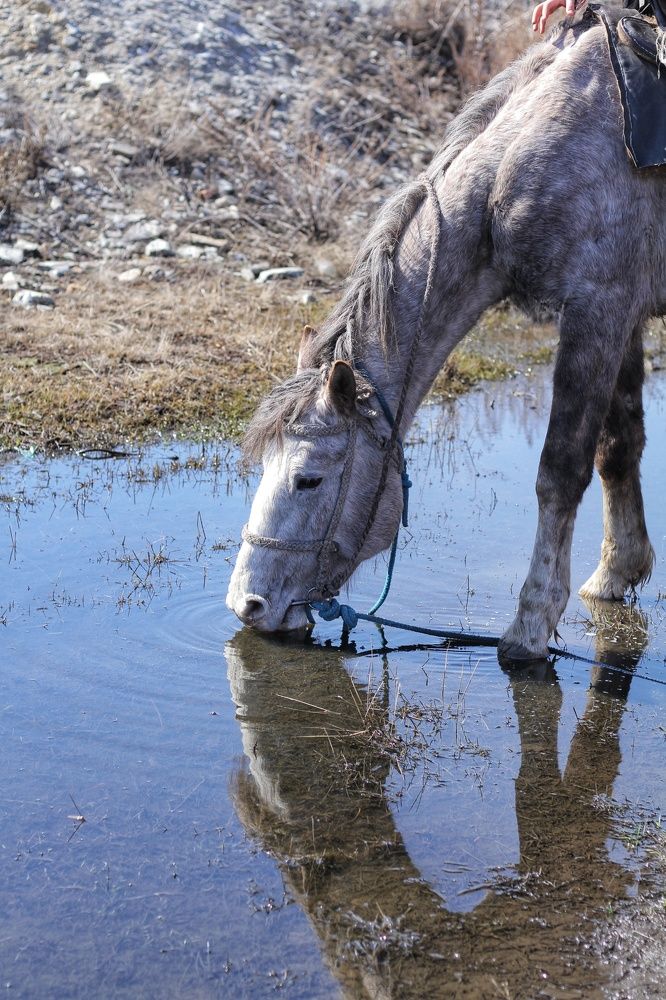 Photograph by Марина Савченко