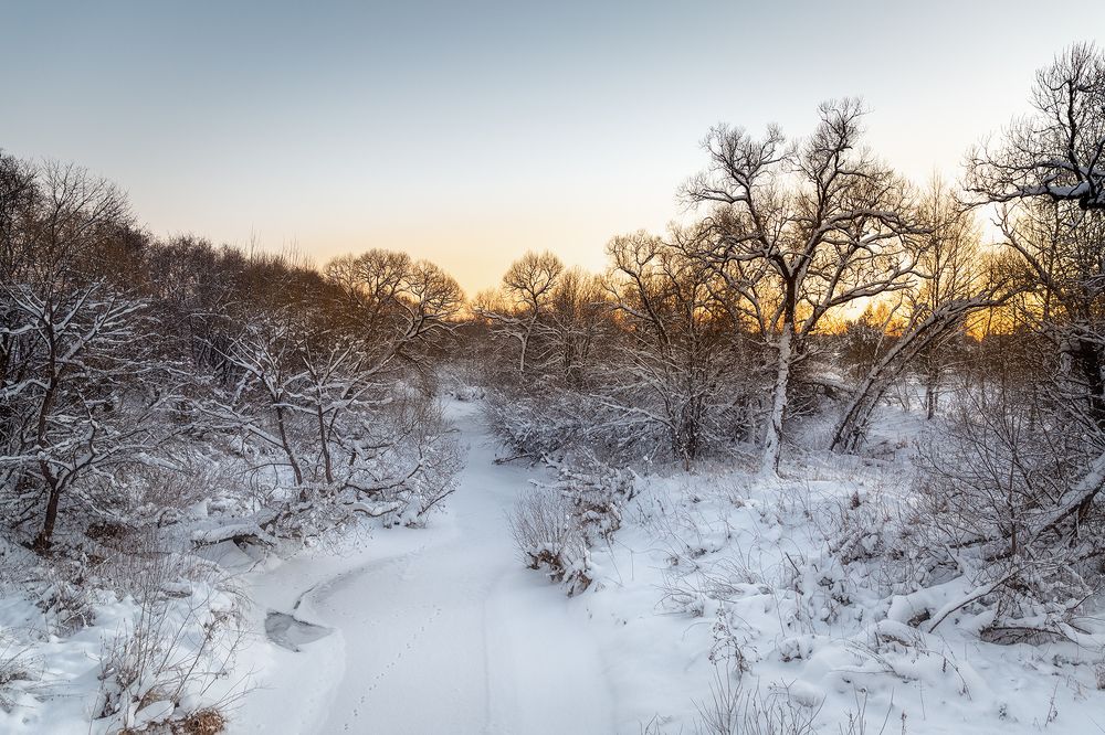 Photograph by Юрий Шурчков