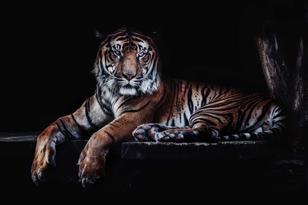 Photograph by Zdenka Janaskova