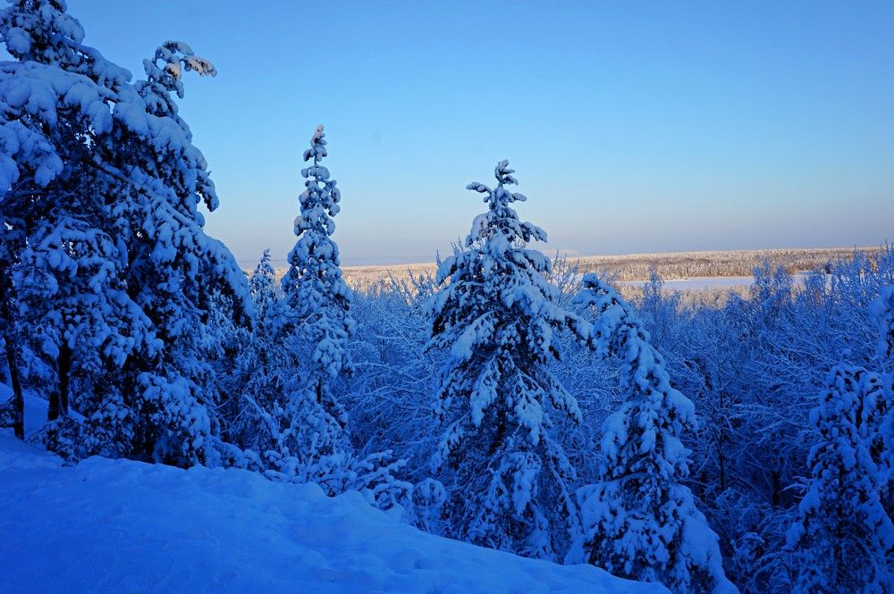 Photograph by Сергей Афанасьев