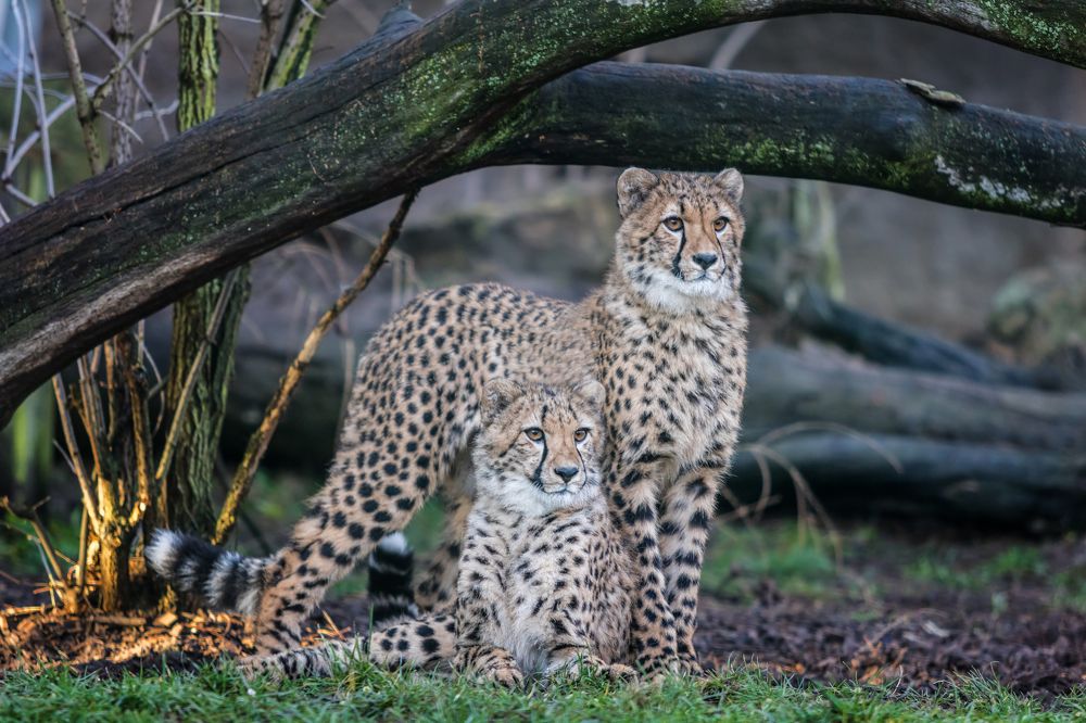 Photograph by Zdenka Janaskova