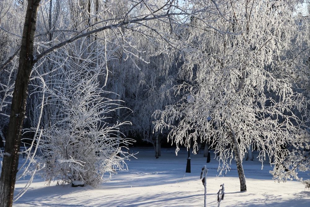 Photograph by Марина Савченко