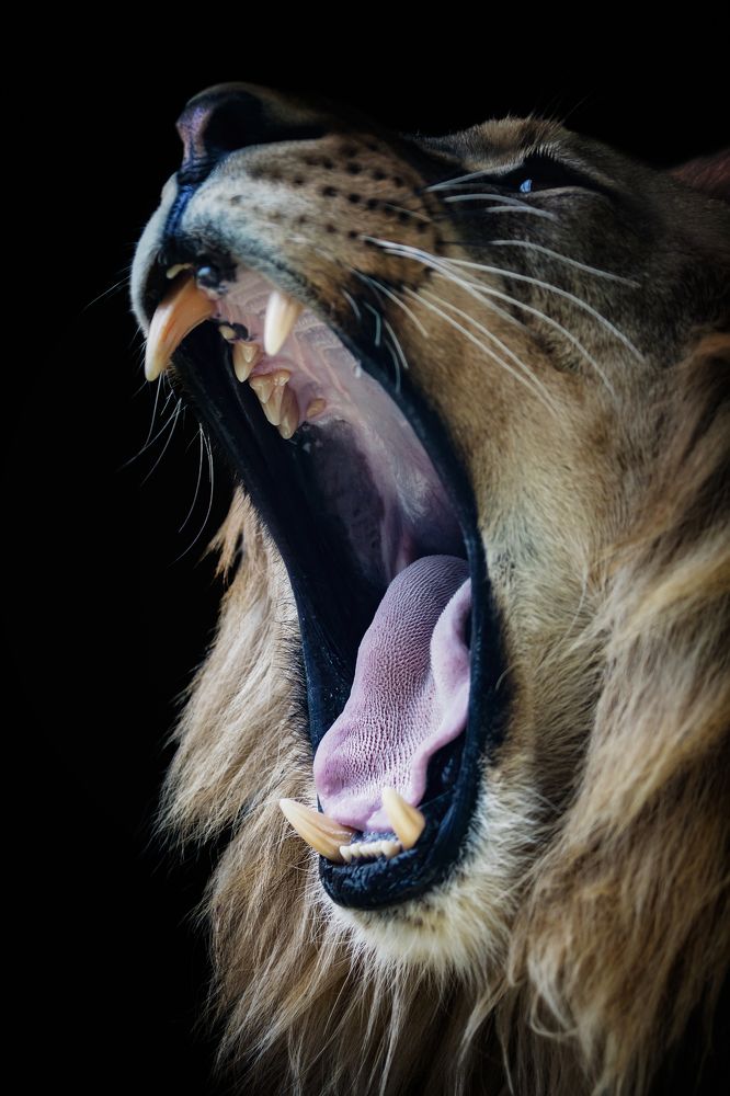 Photograph by Zdenka Janaskova