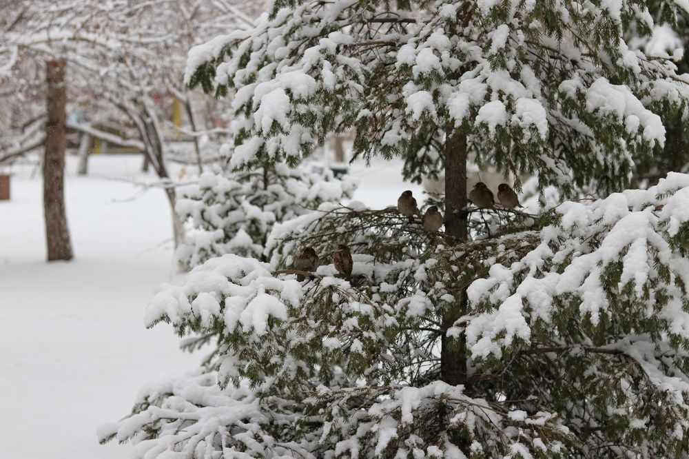 Photograph by Марина Савченко