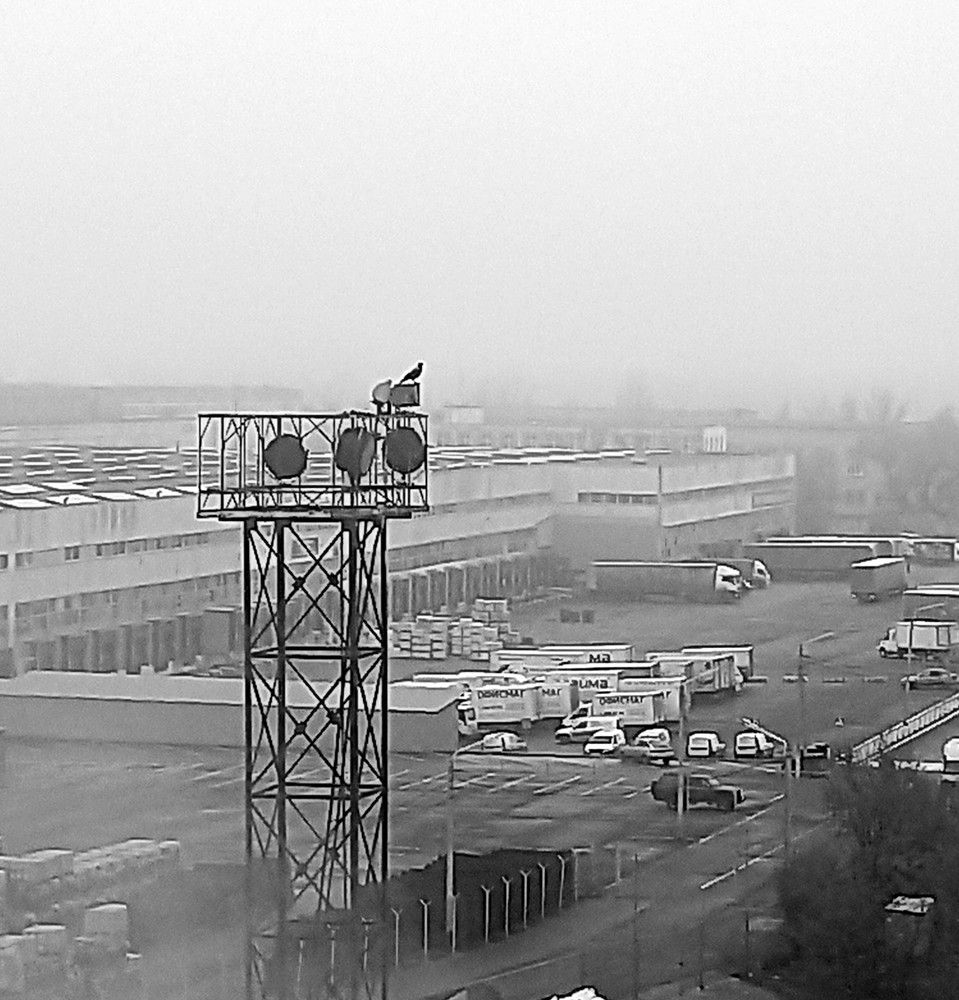 Photograph by Ольга Шевцова