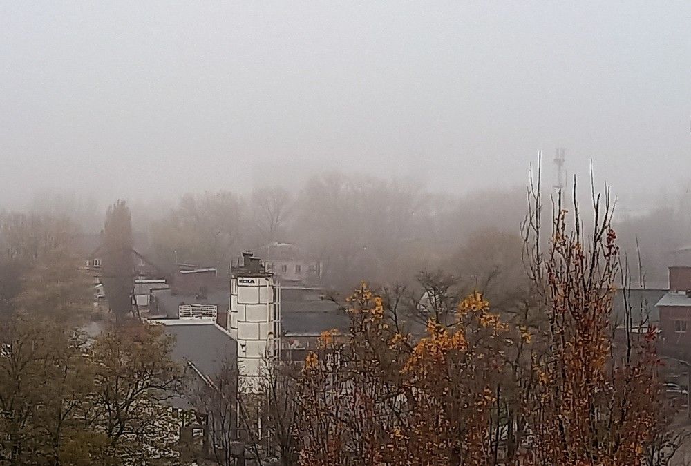 Photograph by Ольга Шевцова